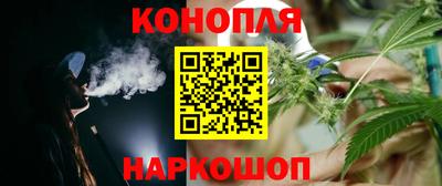 молекула духа Камышлов